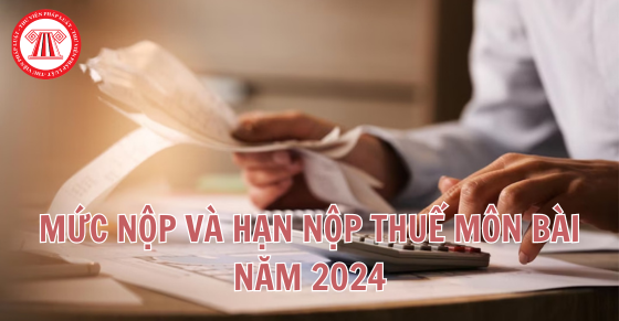 Mức nộp và hạn nộp thuế môn bài năm 2024