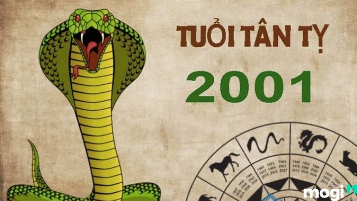 Phân tích tình duyên Nhâm Ngọ: Nữ 2002 kết hôn với tuổi nào phù hợp?