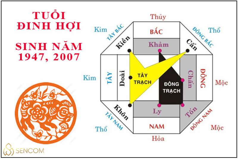 Sinh năm 2007 mệnh gì? Tổng quan tử vi người sinh năm 2007