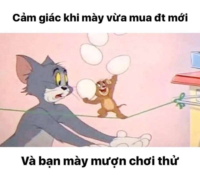 Tổng hợp bộ Tom and Jerry meme cực hài hước dễ thương