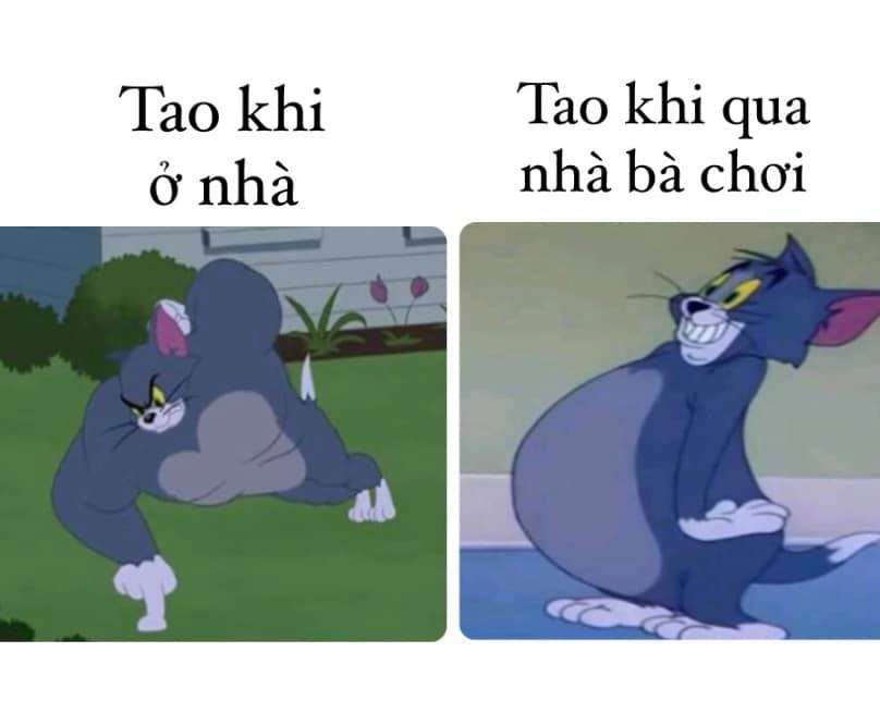 Tổng hợp bộ Tom and Jerry meme cực hài hước dễ thương