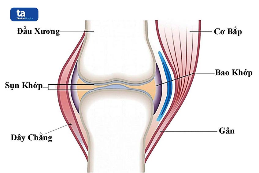 5 chấn thương đầu gối thường gặp trong thể thao và cách điều trị