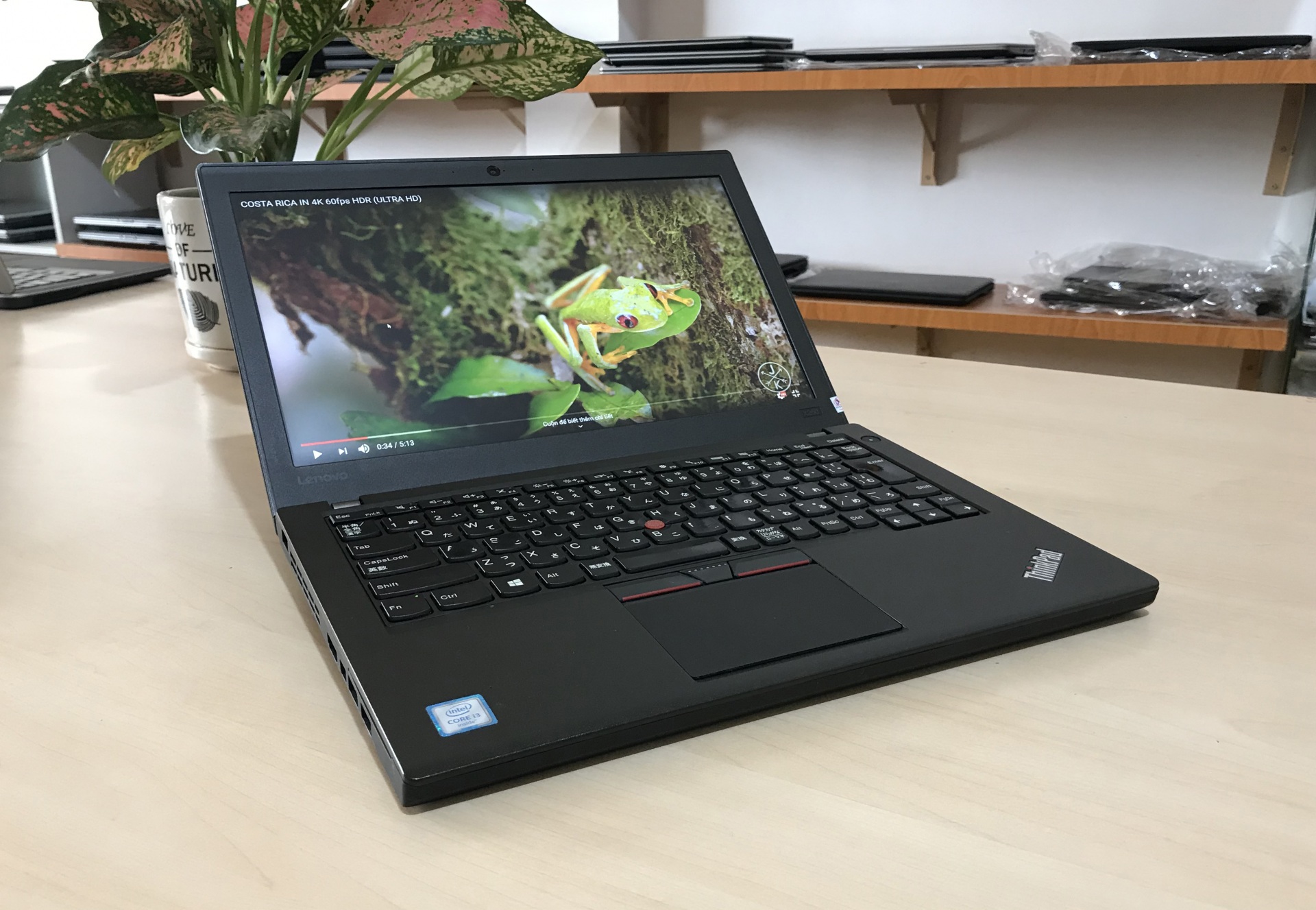 Lenovo ThinkPad X260 Core i5 6200U RAM 8GB SSD 256GB 12.5 inch HD