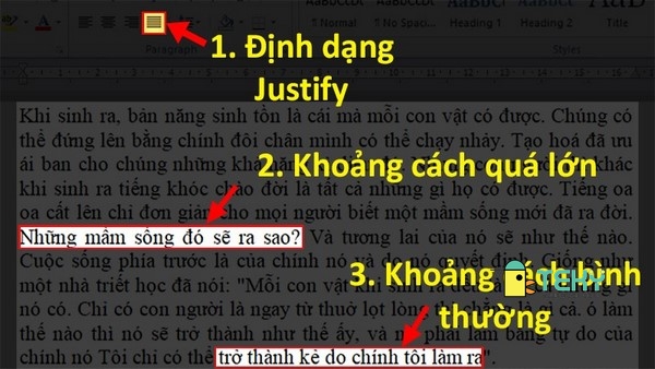 Cách xuống dòng trong Word- mẹo sửa lỗi giãn cách khi xuống dòng 