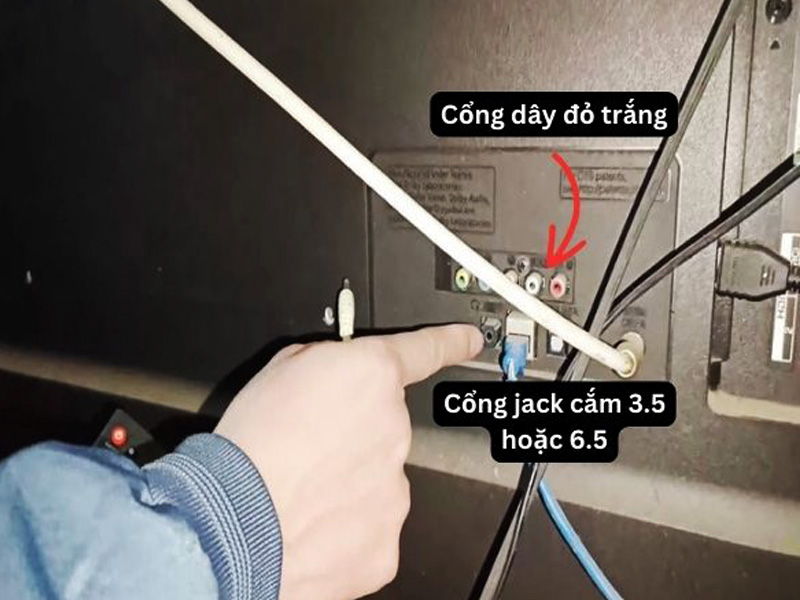 Cách kết nối loa kéo Nanomax với tivi thành công 100%