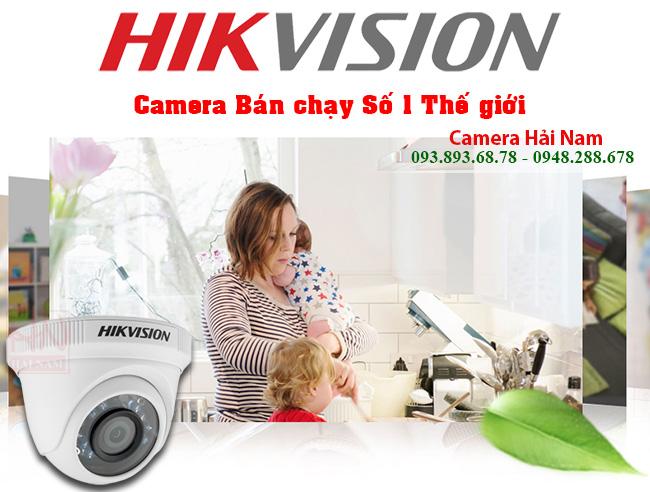 Camera Hikvision DS-2CE56D0T-IR 2MP Full HD 1080P dome IR 20m