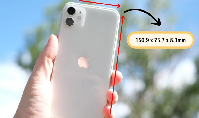 So sánh kích thước iPhone 11, iPhone 11 Pro, iPhone 11 Pro Max